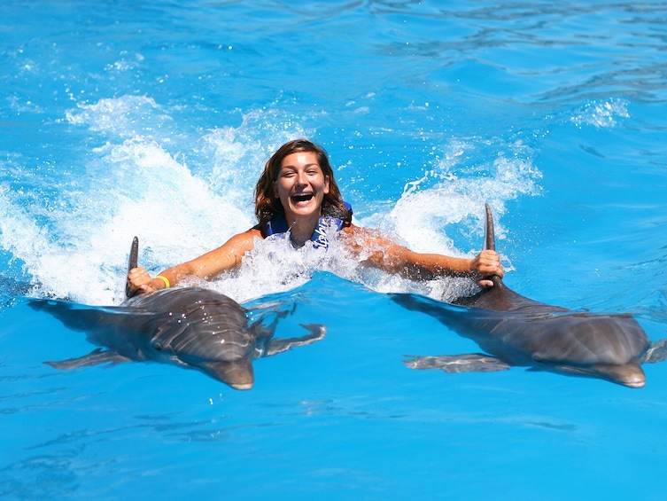 Show item 5 of 10. Dolphin Royal Swim in Punta Cana