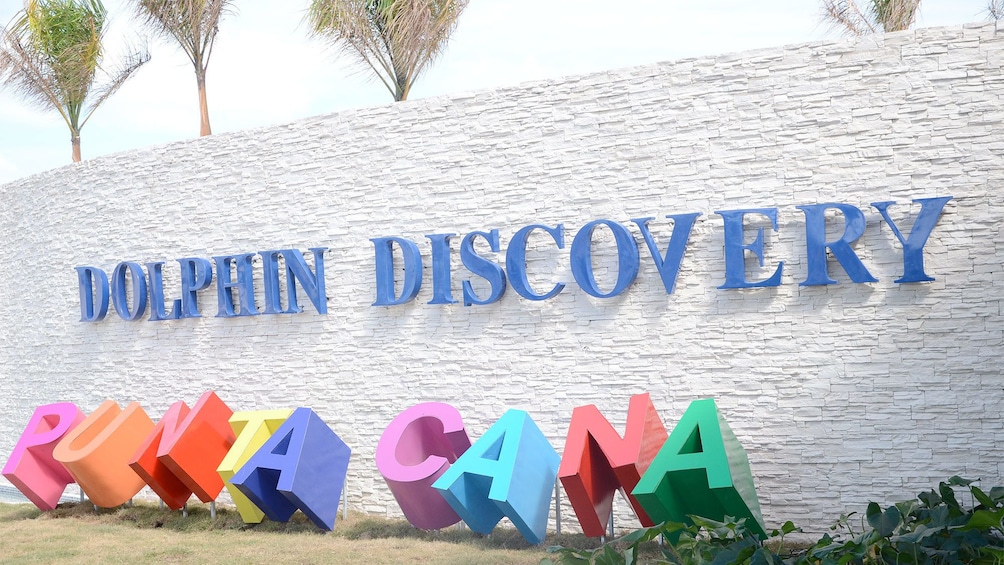Show item 3 of 10. Dolphin Discovery in Punta Cana