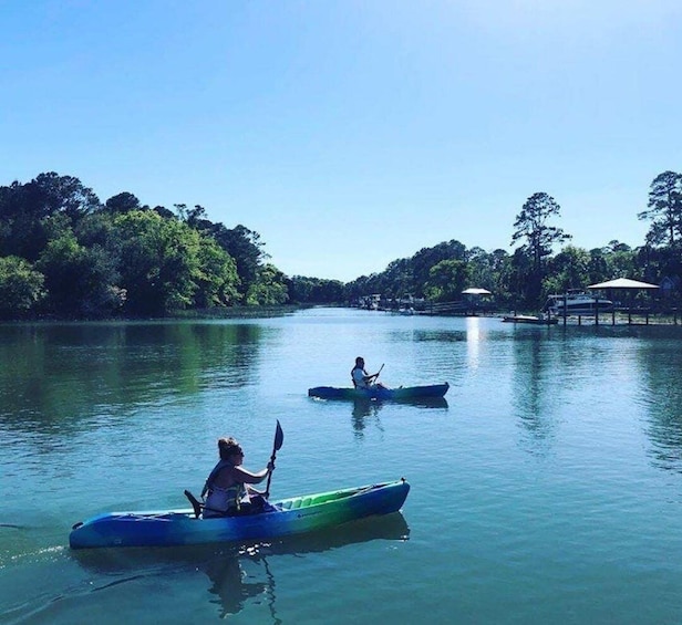 Picture 4 for Activity Hilton Head: Guided Kayak Tour
