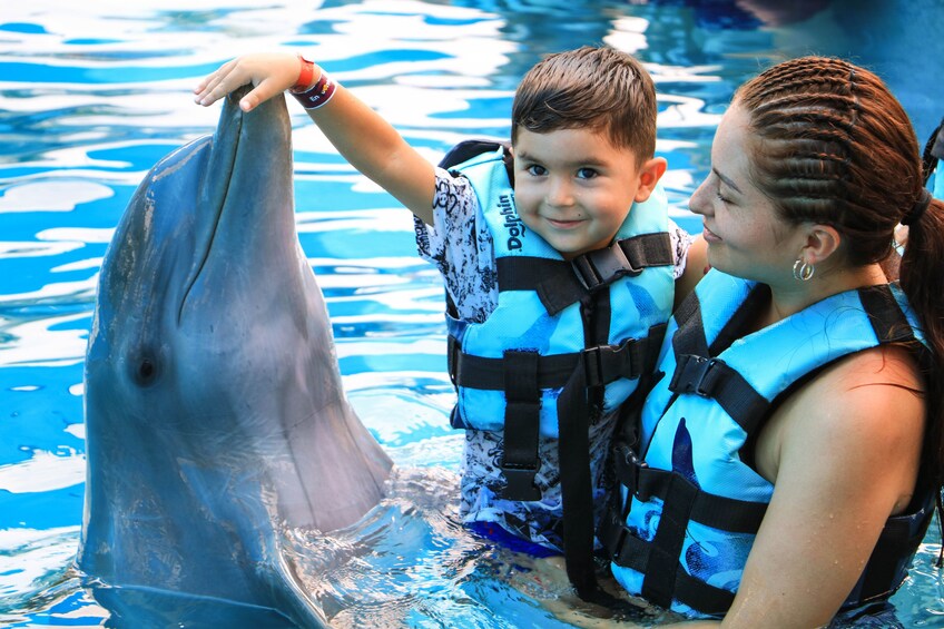 Carregar foto 1 de 10. Dolphin Encounter in Punta Cana