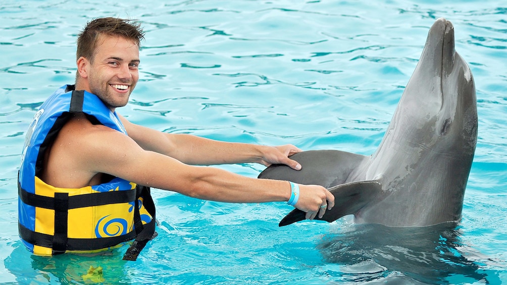 Carregar foto 3 de 10. Dolphin Discovery tour in Punta Cana