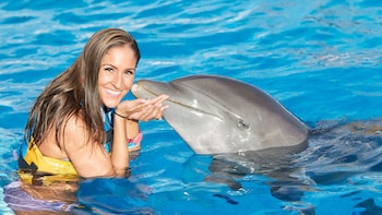 ,Nadar con delfines
