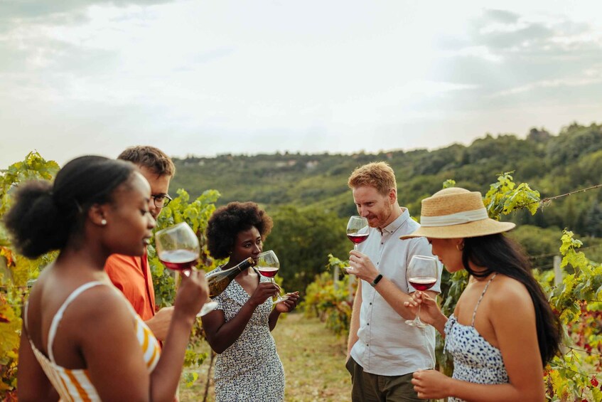 Picture 4 for Activity Charleston: Wadmalaw Island Wine Tasting and Tea Garden Trip