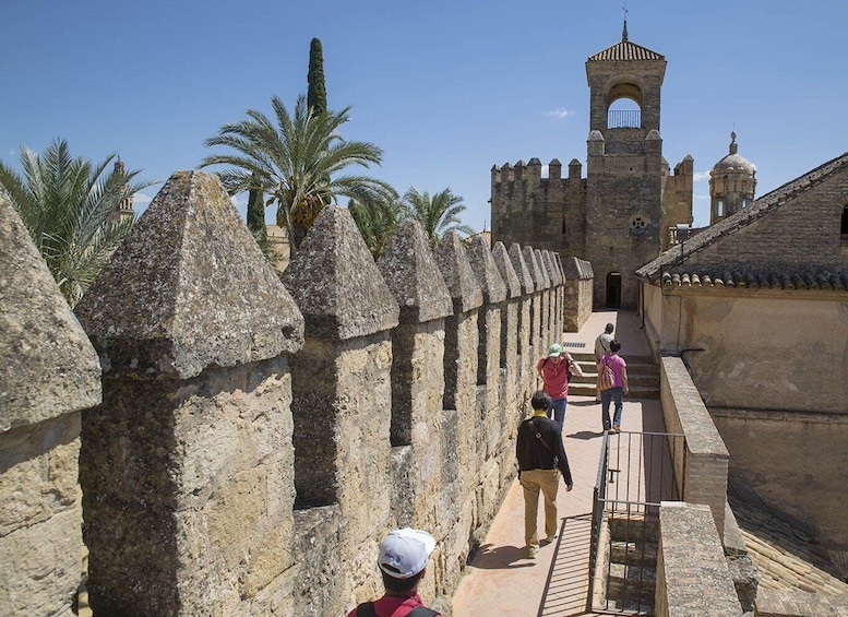 Picture 3 for Activity Cordoba: Alcazar of The Christian Monarchs Tickets and Tour