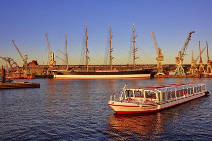 Hambourg : Croisière touristique sur les voies navigables de la ville