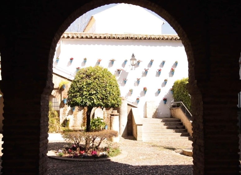 Picture 2 for Activity Córdoba: Mosque, Synagogue, and Jewish Quarter Walking Tour