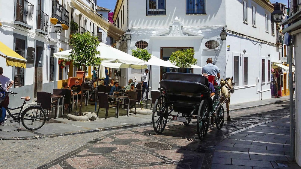 Picture 4 for Activity Córdoba: Mosque, Synagogue, and Jewish Quarter Walking Tour