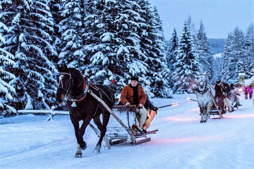 Tatra Mountain Sleigh Ride in Zakopane from Kraków