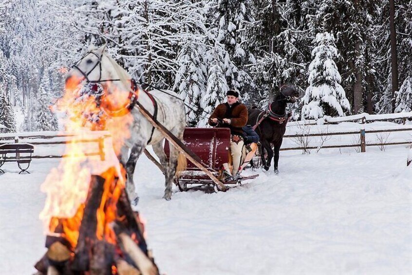 Tatra Mountain Sleigh Ride in Zakopane from Kraków