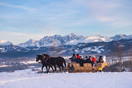 Tatra Mountain Sleigh Ride in Zakopane from Kraków