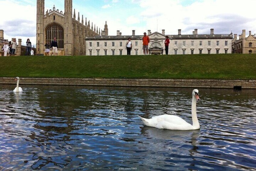 Welcome to Cambridge: Private Tour including King's College Chapel