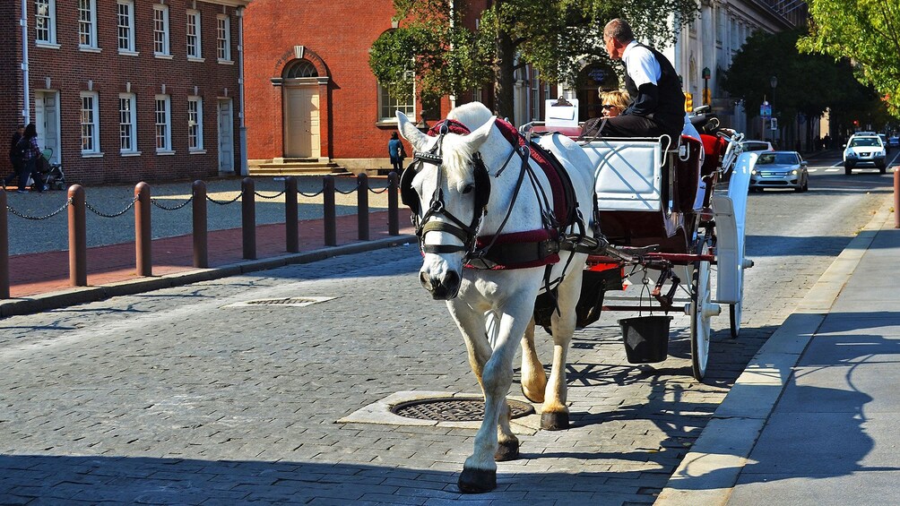 A horse-drawn carriage