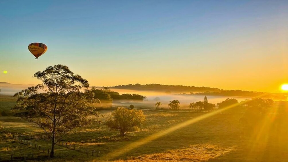 Byron Bay Sunrise Hot Air Balloon Flight with Breakfast