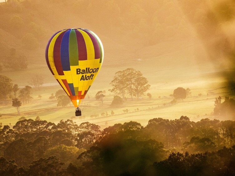 Byron Bay Hot Air Balloon