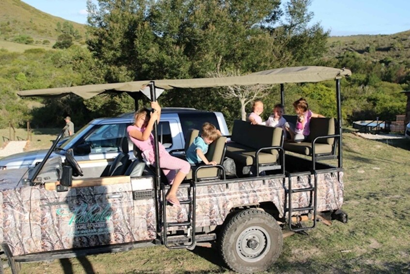 Picture 5 for Activity Hankey: Pabala Private Nature Reserve Game Drive with Snacks