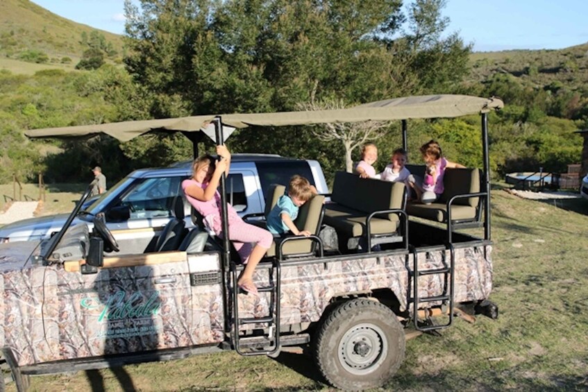 Picture 5 for Activity Hankey: Pabala Private Nature Reserve Game Drive with Snacks