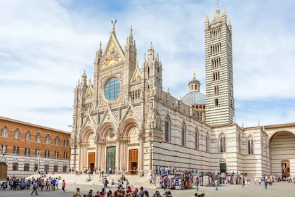 Firenzestä: Gimignano: Yksityinen opastettu kiertoajelu, Siena & San Gimign...