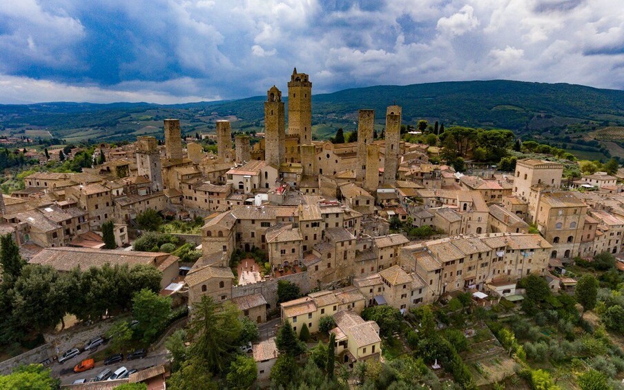 Picture 6 for Activity From Florence: Private GUIDED tour, Siena & San Gimignano