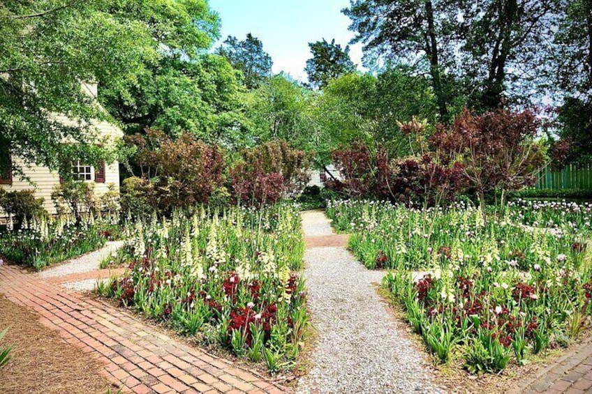 Historic flower garden at Colonial Williamsburg