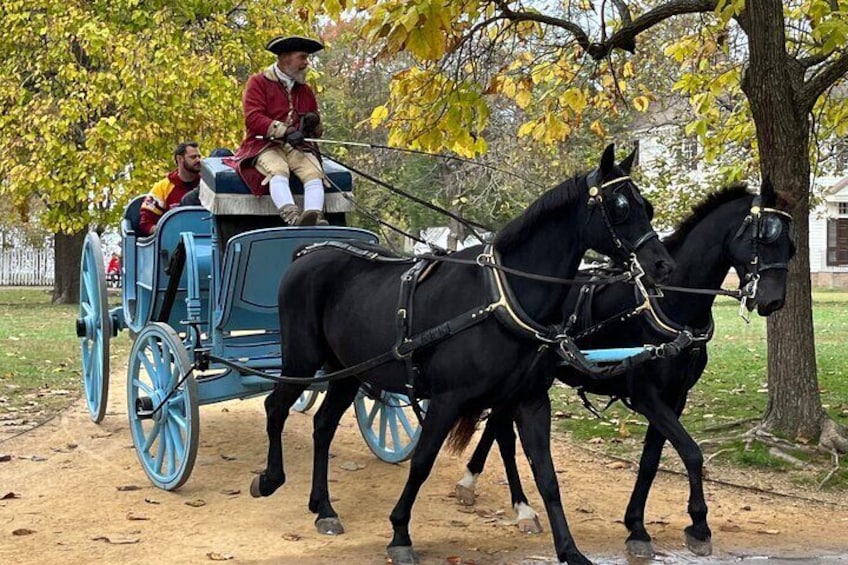 Colonial carriage ride