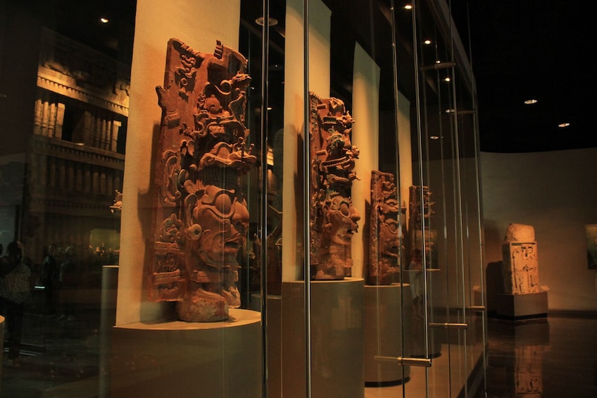 Carregar foto 4 de 9. Guided Visit to Anthropology Museum