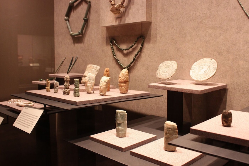 Carregar foto 2 de 9. Guided Visit to Anthropology Museum