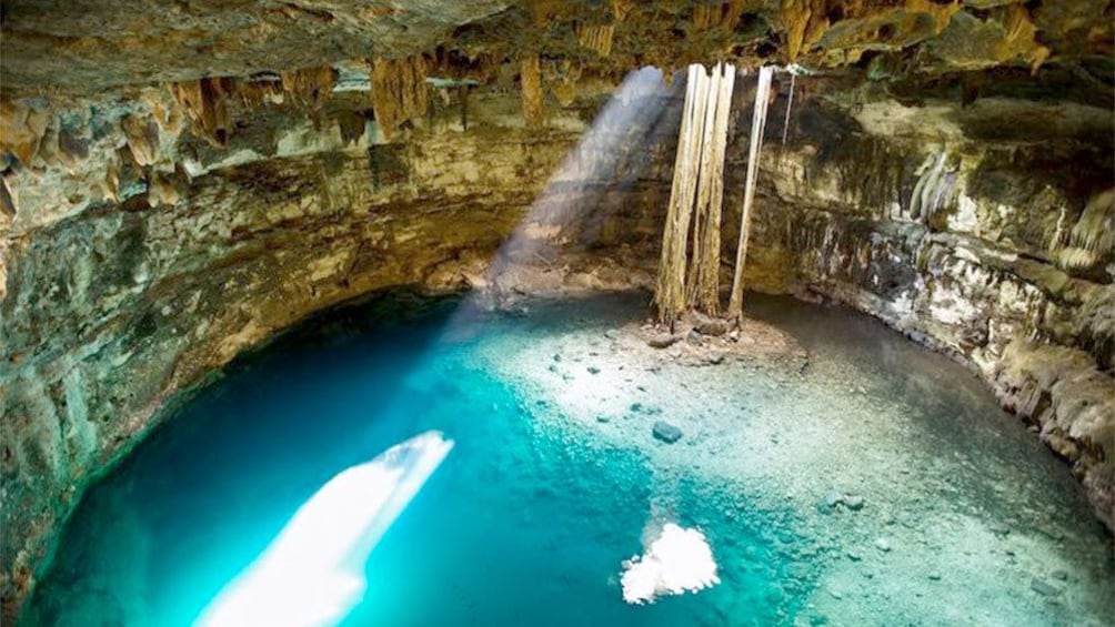 Stunning view on the Cuzama Cenotes Tour