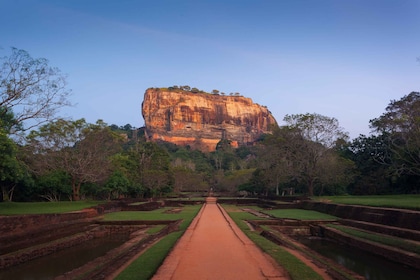 Desde Kalutara: tour de día completo de la roca de Sigiriya y la cueva de D...