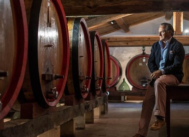 Florencia: tour privado de vino Brunello de día completo a Montalcino