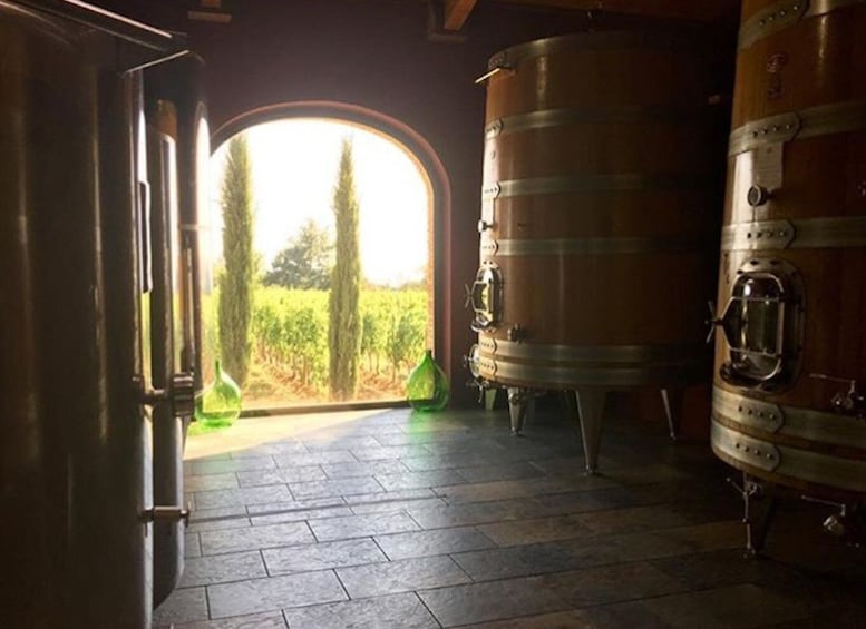 Picture 7 for Activity Florence: Private Full-Day Brunello Wine Tour to Montalcino