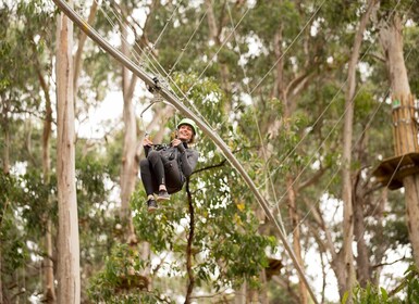 Lorne: Live Wire Park Ticket mit Zip Line Achterbahn