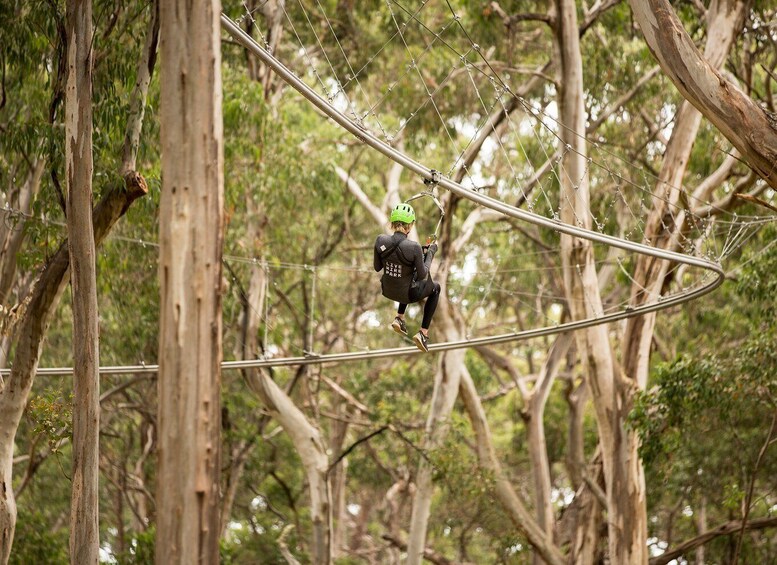 Picture 2 for Activity Lorne: Live Wire Park Ticket with Zip Line Rollercoaster