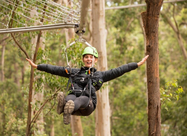 Picture 1 for Activity Lorne: Live Wire Park Ticket with Zip Line Rollercoaster