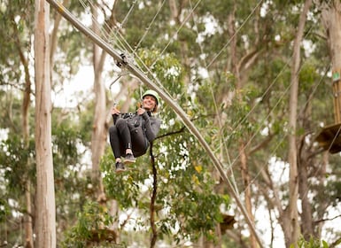 Lorne: Live Wire Park Ticket with Zip Line Rollercoaster