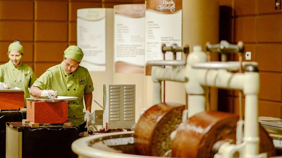 Orlando: Chocolate Kingdom Factory Adventure Tour
