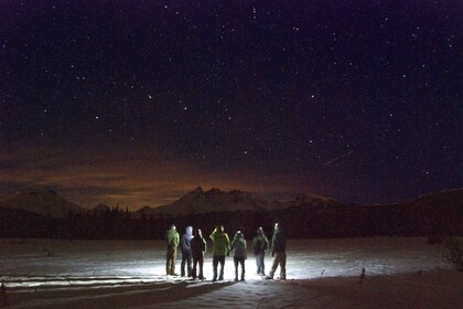 Bend: Guided Moonlit Snowshoe Tour