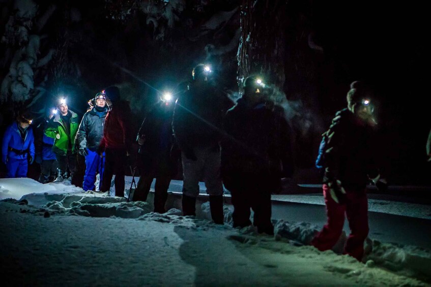 Picture 3 for Activity Bend: Guided Moonlit Snowshoe Tour