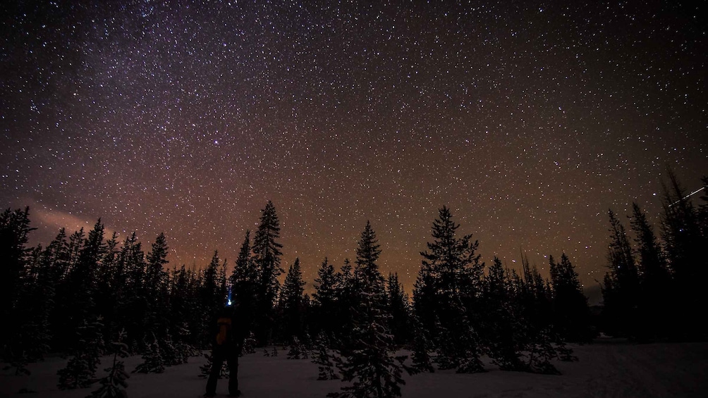 Picture 2 for Activity Bend: Guided Moonlit Snowshoe Tour