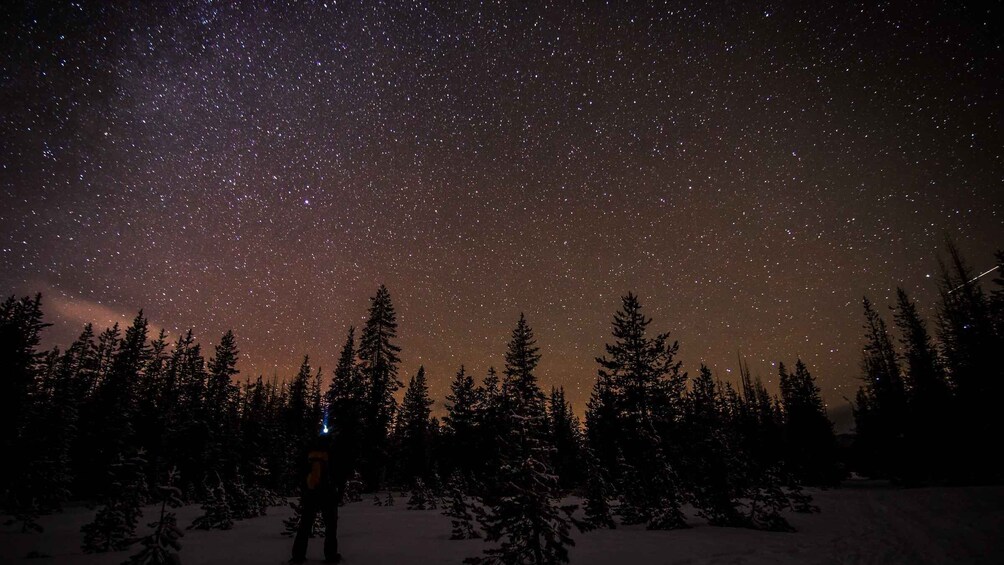 Picture 2 for Activity Bend: Guided Moonlit Snowshoe Tour