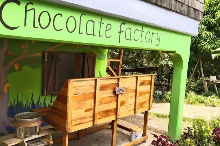 Dominica Chocolate Factory Tour and Taste 