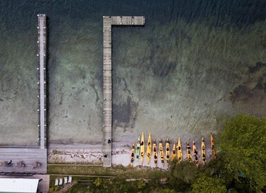 Rotorua: Kajakkpadling i den naturskjønne innsjøen Rotoiti på dagtid