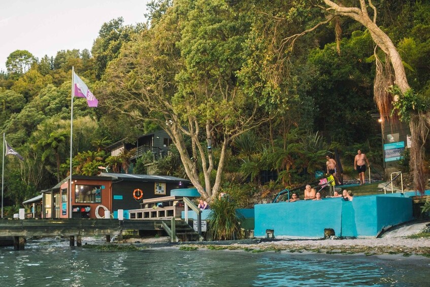 Picture 2 for Activity Rotorua: Daytime Scenic Lake Rotoiti Kayak Tour