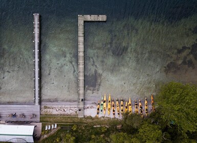 Rotorua: Kajakkpadling i den naturskjønne innsjøen Rotoiti på dagtid