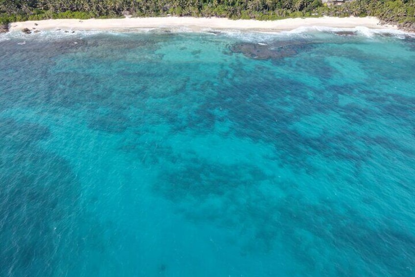 4 Hours Private Ocean Blue Adventure in Seychelles