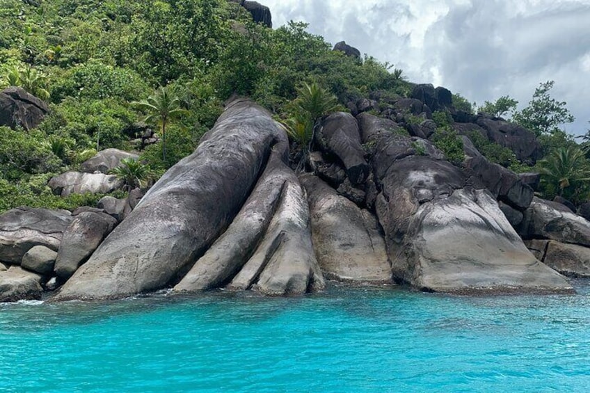 4 Hours Private Ocean Blue Adventure in Seychelles