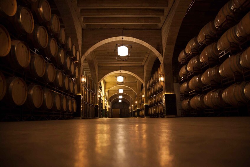 Picture 1 for Activity Rioja: Guided Winery Visit with Wine Tasting and Food