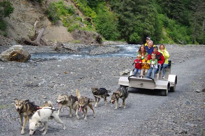 Seward: Summer Dog Sleigh Ride and Seavey Estate Tour