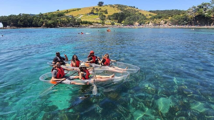Leigh: Goat Island 60-Minute Clear Kayak Rental