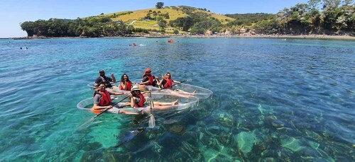 Leigh: alquiler de kayak transparente de 60 minutos en Goat Island