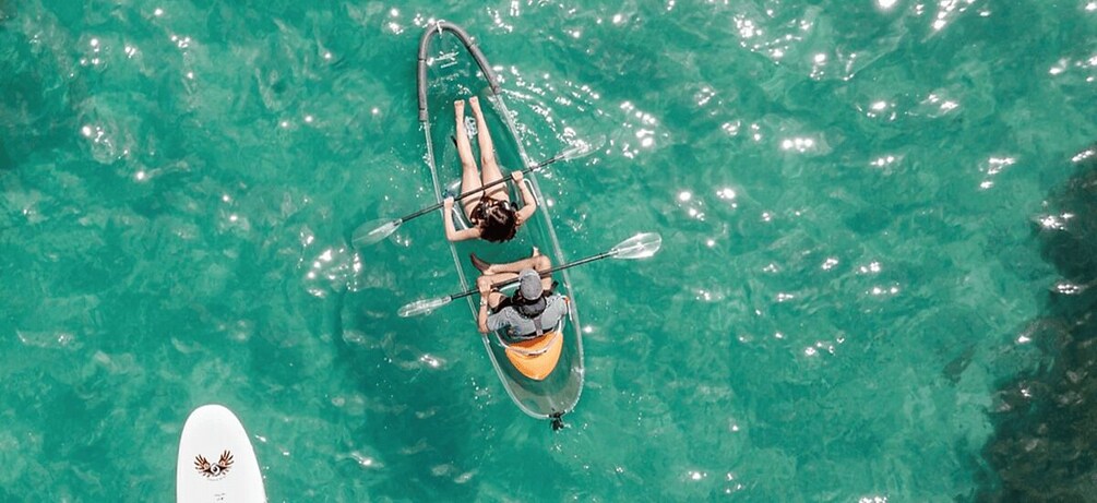 Picture 3 for Activity Leigh: Goat Island 60-Minute Clear Kayak Rental